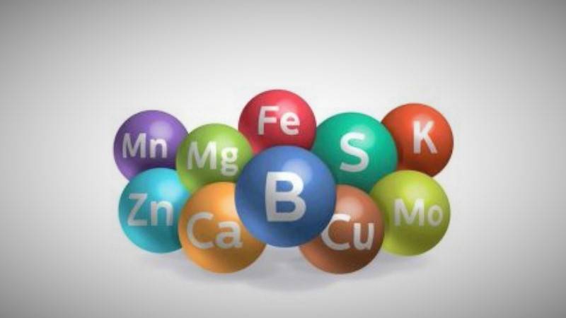 microelementos-16x9-y-800x450 (1)|frutales-en-flor